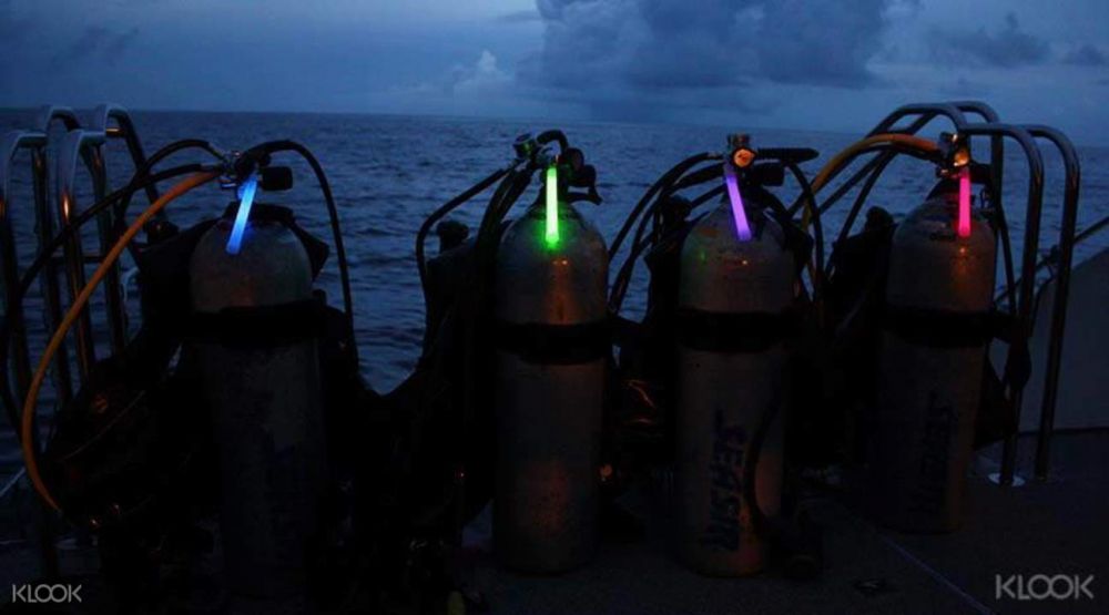 Night Dive 1