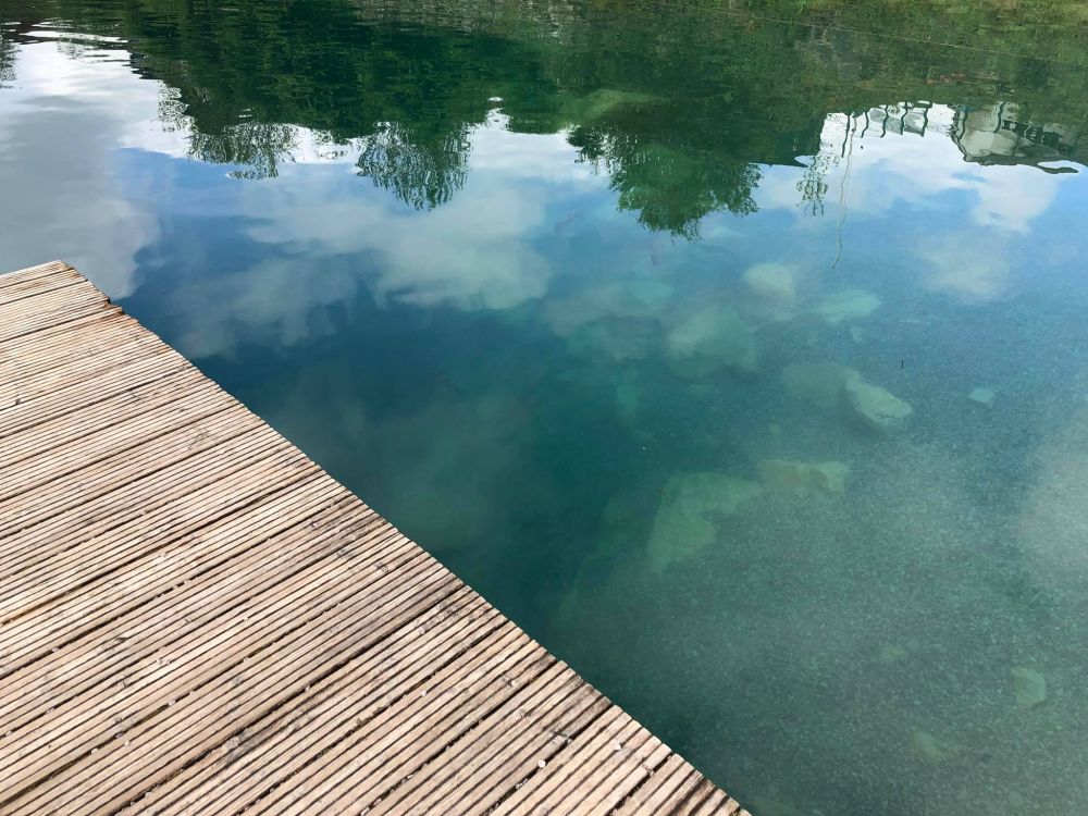 Look at the fish